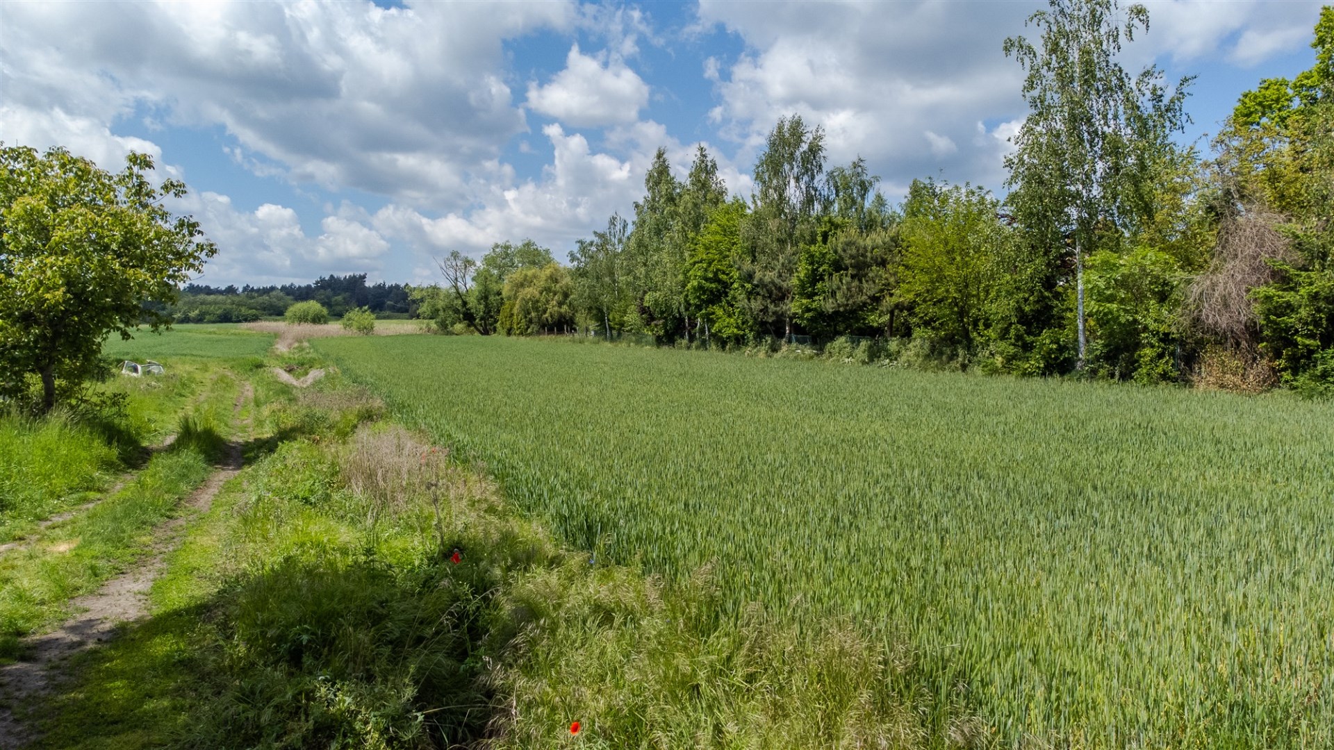 Działka na sprzedaż